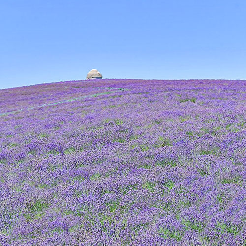 Hill of Buddha in Hokkaido, Japan | Tadao Ando, Takino Reien, Makaomanai, Takino Cemetery, Hill of Buddha, Sapporo, Hokkaido, Japan, 頭大仏殿, 頭大仏, Makomanai Park