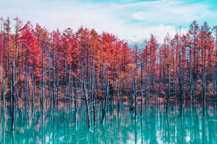 10 Most Instagrammable Places in Hokkaido
