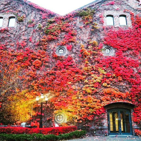 Sapporo Factory, Autumn leaves, Renga Kan, Sapporo Brewery, Sapporo Factory Hokkaido,サッポロファクトリー, Hokkaido, Japan – The One Hit Wander
