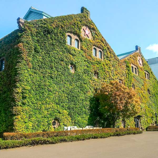 Sapporo Factory in Spring