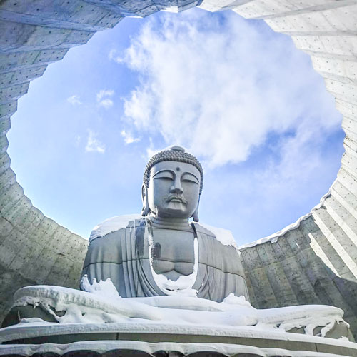 Hill of Buddha from below, Sapporo, Hokkaido, Japan – image by @ craycray_carly| Tadao Ando, Takino Reien, Makaomanai, Takino Cemetery, Hill of Buddha, Sapporo, Hokkaido, Japan, 頭大仏殿, 頭大仏, Makomanai Park