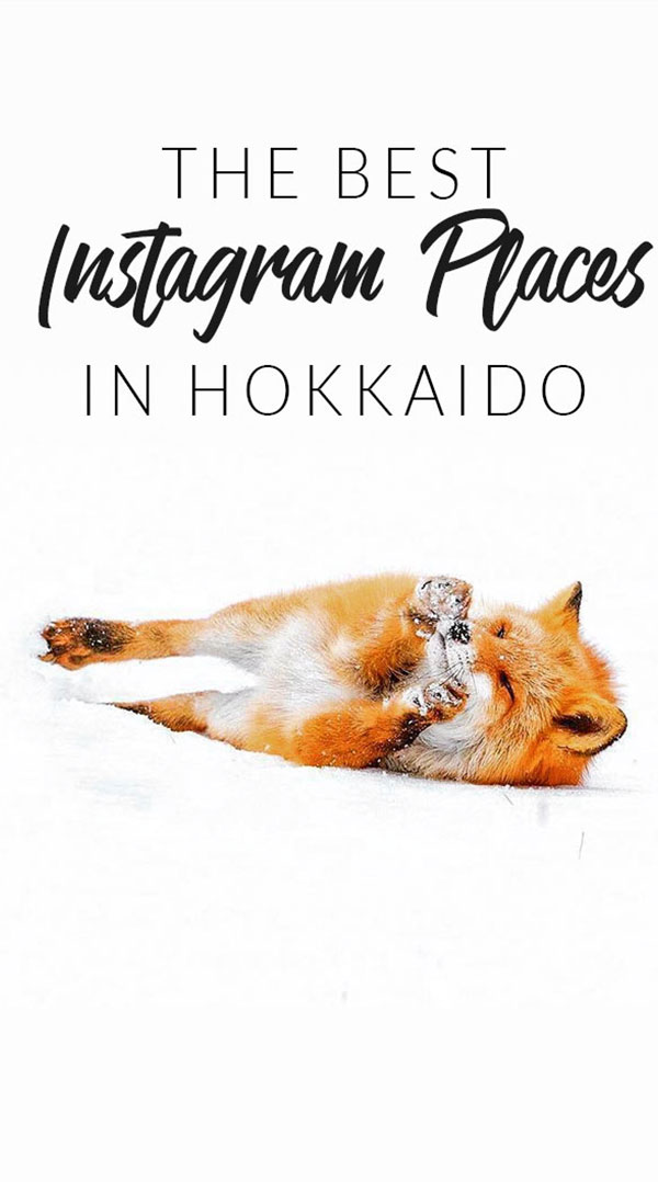 The Best Instagram Places in Hokkaido | Pink Lemonade Social Media Hobart Tasmania