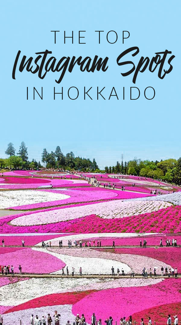 The Top Instagram Spots in Hokkaido | The most instagrammable places in Hokkaido, Hokkaido, travel, Instagram, Japan, 北海道, 日本, instagrammable spots, instagrammable places, travel Japan, Pink Lemonade Social, Digital Marketing Hobart Tasmania