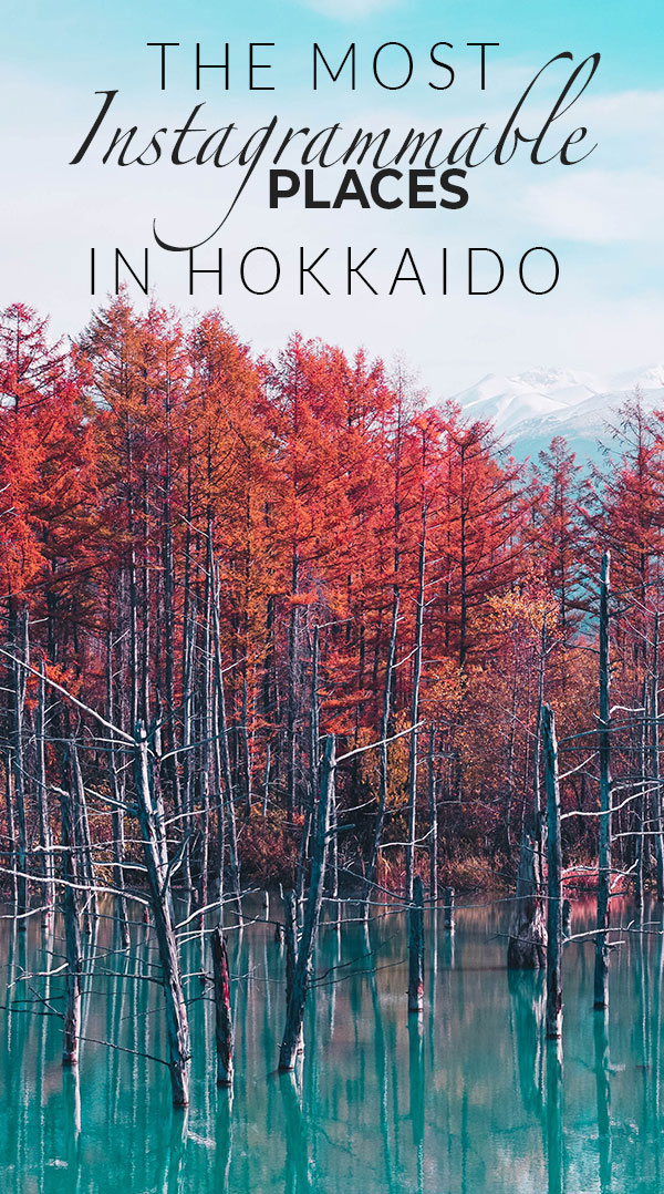 The Most Instagrammable Places in Hokkaido | The most instagrammable places in Hokkaido, Hokkaido, travel, nstagram, Japan, 北海道, 日本, instagrammable spots, instagrammable places, travel Japan, Pink Lemonade Social Hobart Tasmania