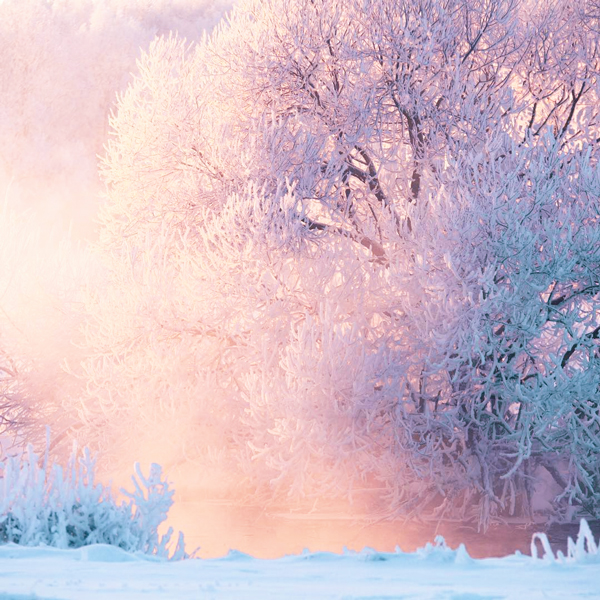 Beautiful snow in Hokkaido, Hoshino Resort - Most Instagrammable Places in Hokkaido, Japan | Daisetsuzan, Daisetsuzan National Park, Taisetsuzan, 大雪山, Hokkaido, Japan