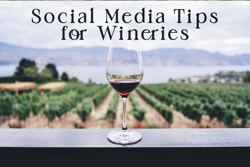 Social Media for Wineries – Tips & How to Boost Sales