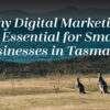 Why Digital Marketing is Essential for Small Businesses in Tasmania